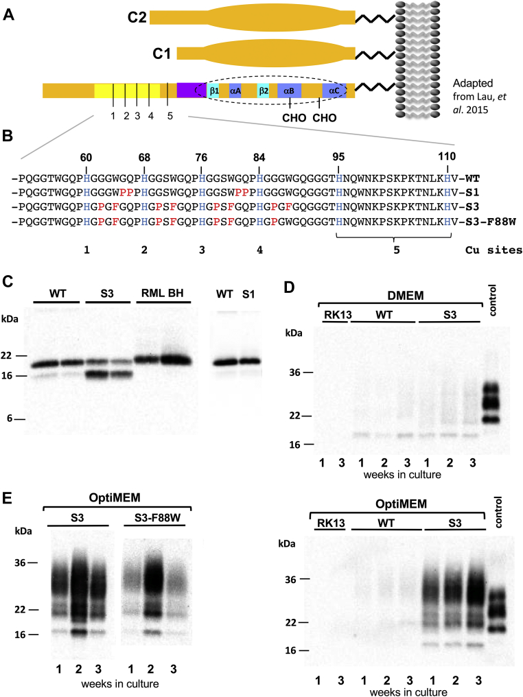 Figure 1