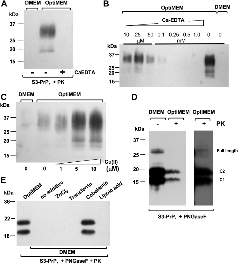 Figure 3