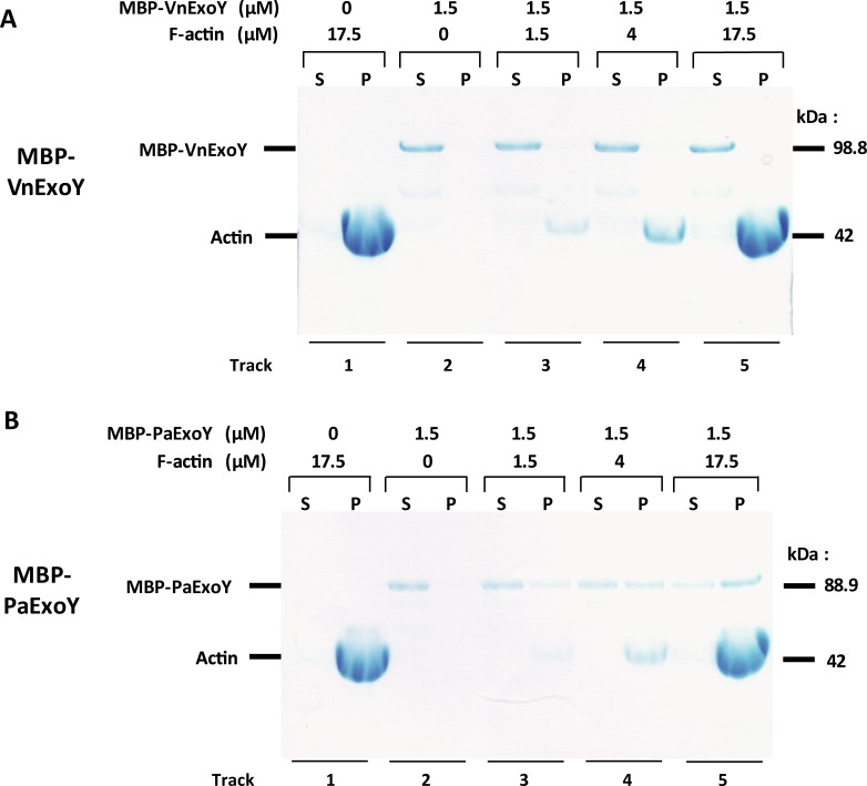 Fig 5