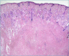 Figure 5A.