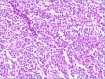 Figure 2A.
