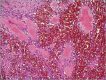 Figure 4A.