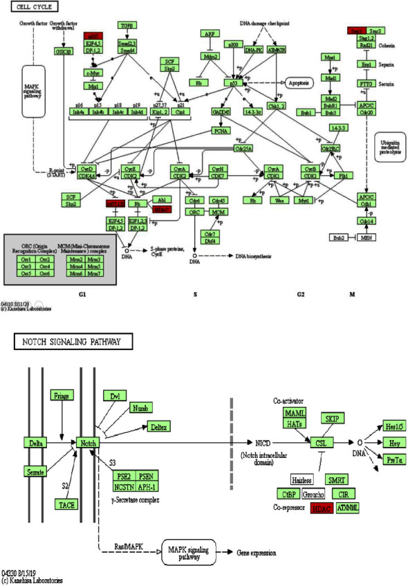 Figure 10