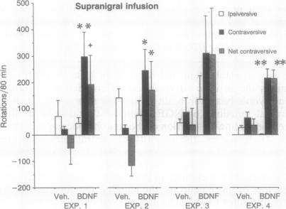 graphic file with name pnas01097-0251-a.jpg