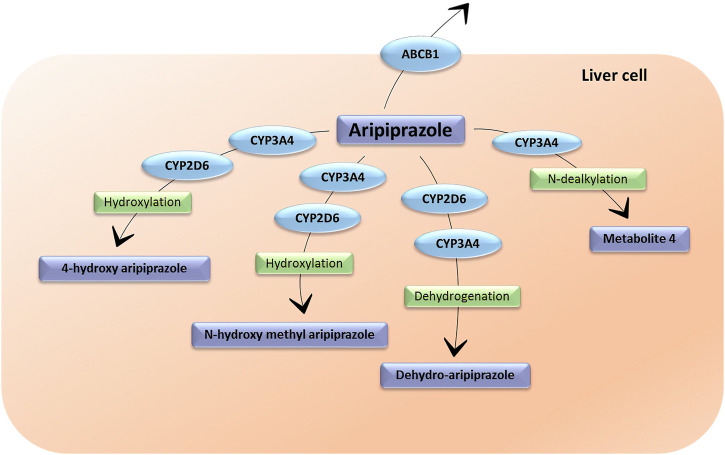 FIGURE 2