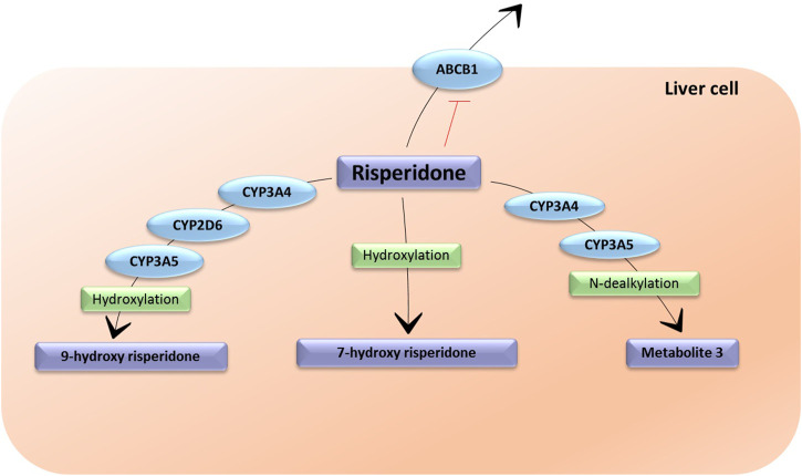 FIGURE 3