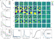 Extended Data Fig. 4