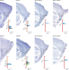 Extended Data Fig. 1