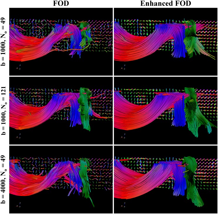 Fig 10