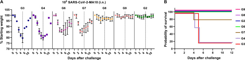 Fig. 7.