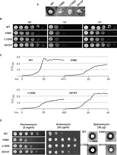 Figure 2.