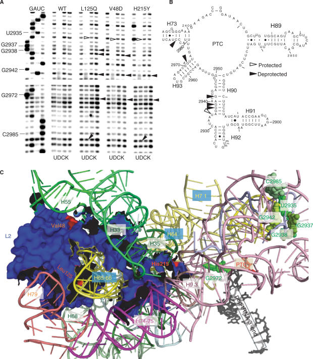 Figure 6.