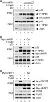 FIGURE 4.