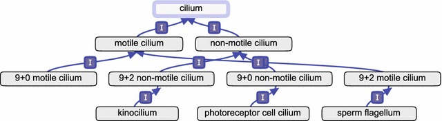 Fig. 4