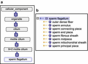 Fig. 3