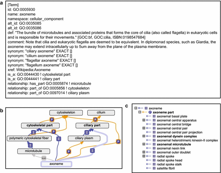 Fig. 2