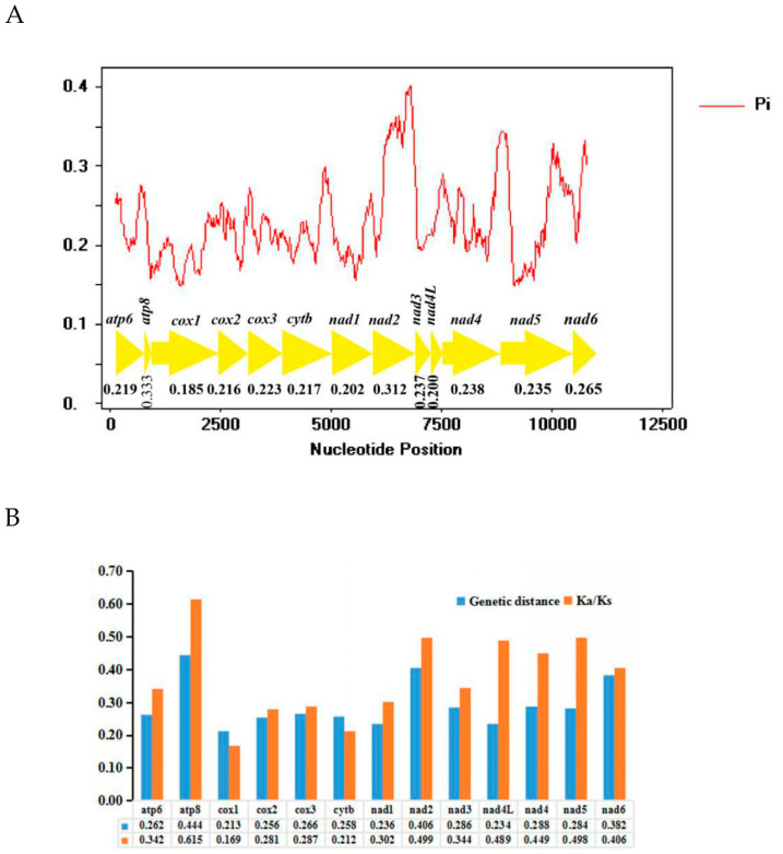 Figure 7