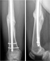 Fig. 6