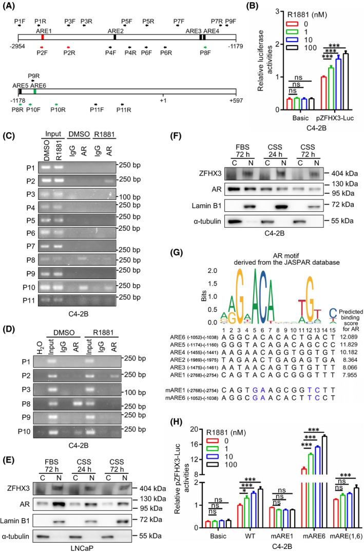 FIGURE 2