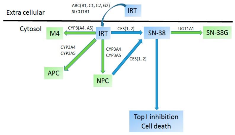 Figure 5