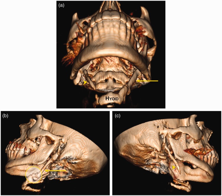 Figure 3.