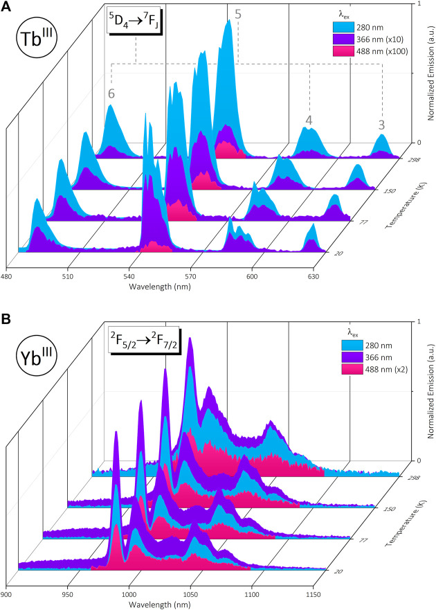 FIGURE 2