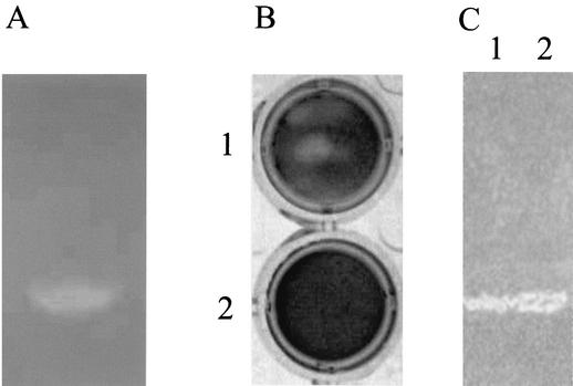 FIG. 5.