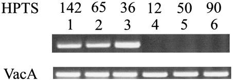 FIG. 2.