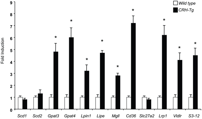 Figure 5