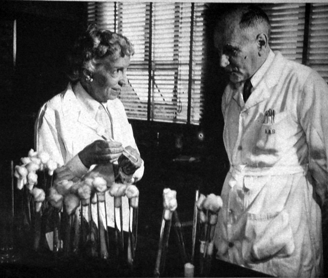 Fig. 33