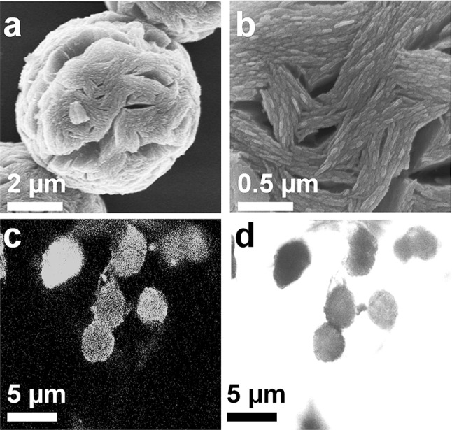 Fig. 2