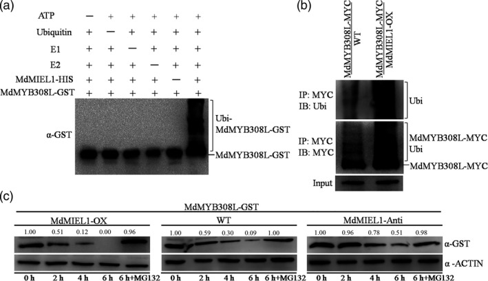 Figure 10