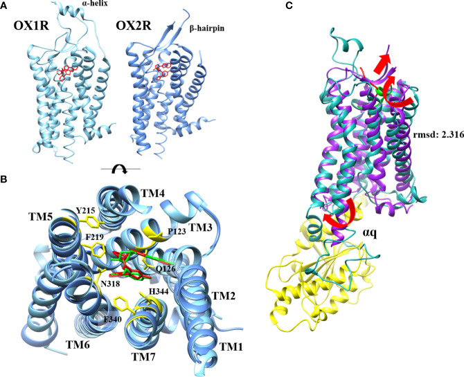 Figure 3