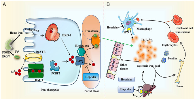 Figure 1.