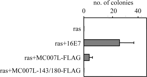 FIG. 5.