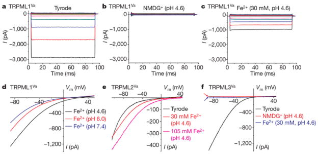 The Type IV Mucolipidosis-Associated Protein TRPML1 is an Endo ...