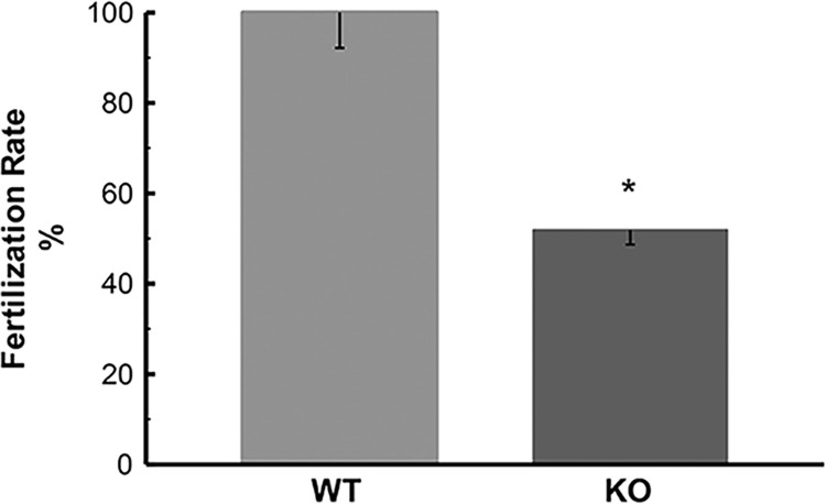 Fig 13