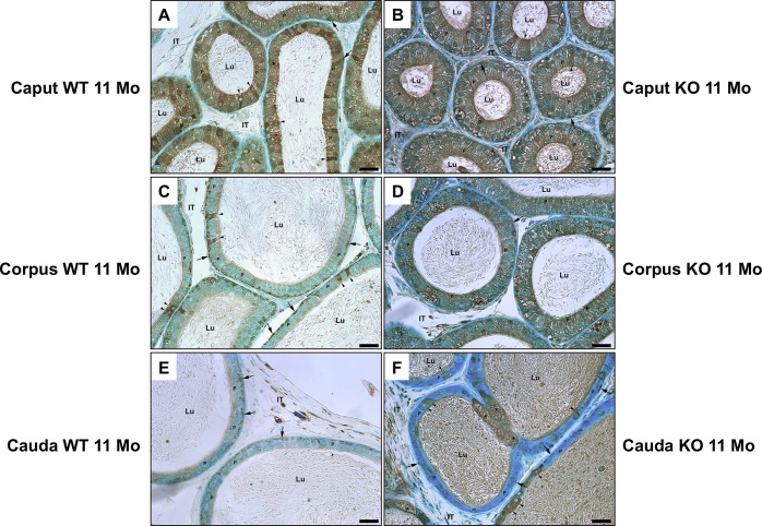 Fig 9