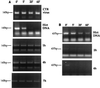 FIG. 7