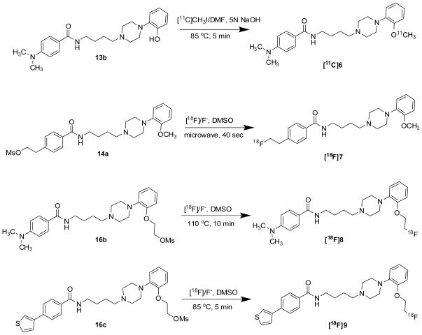 Scheme 2