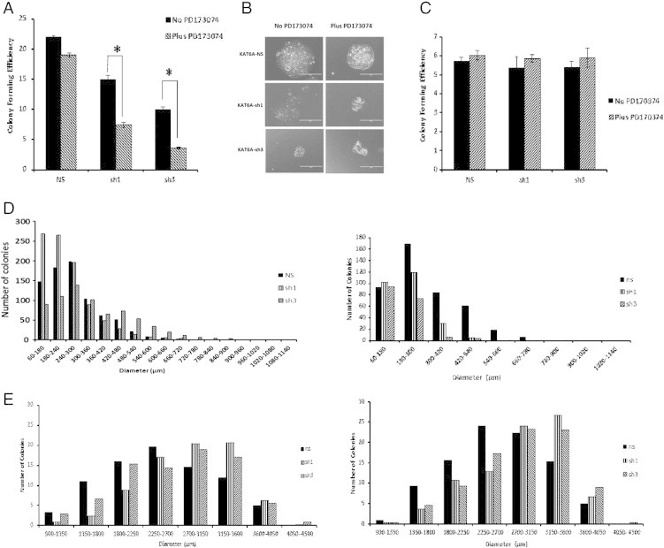 Figure 6