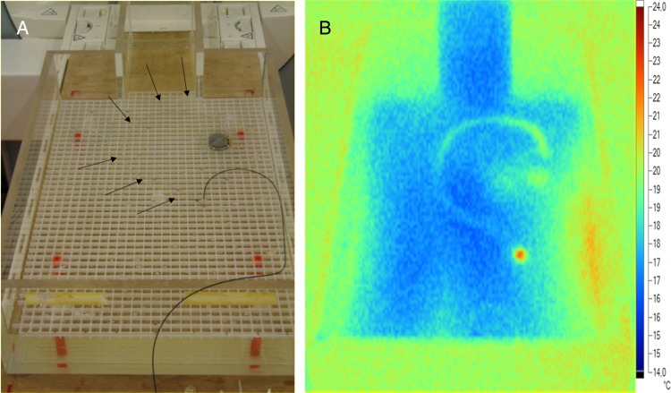 Figure 2.