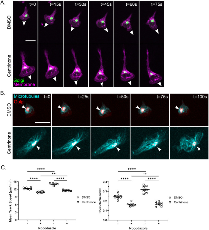 FIGURE 3: