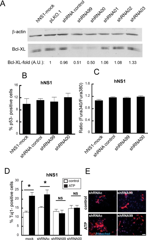 FIGURE 6: