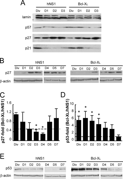 FIGURE 3: