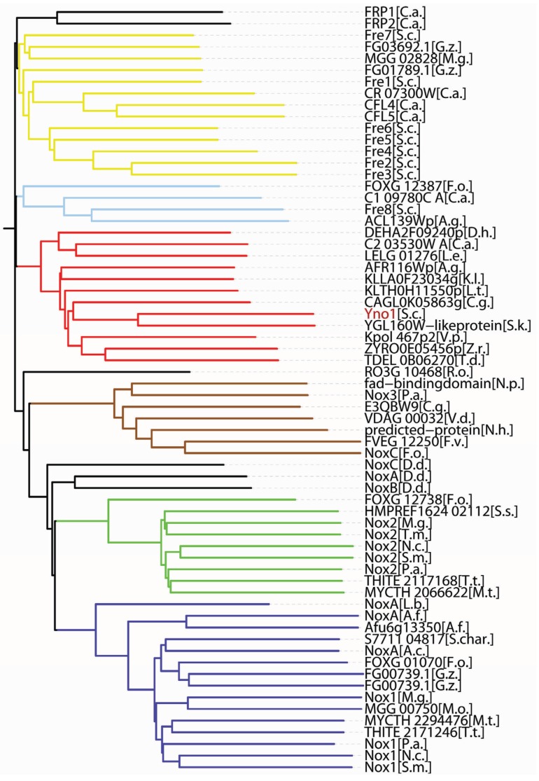 Figure 4