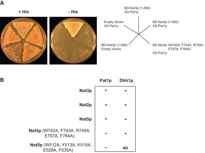 FIGURE 5.