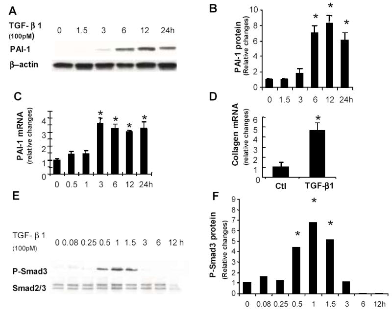 Fig.2