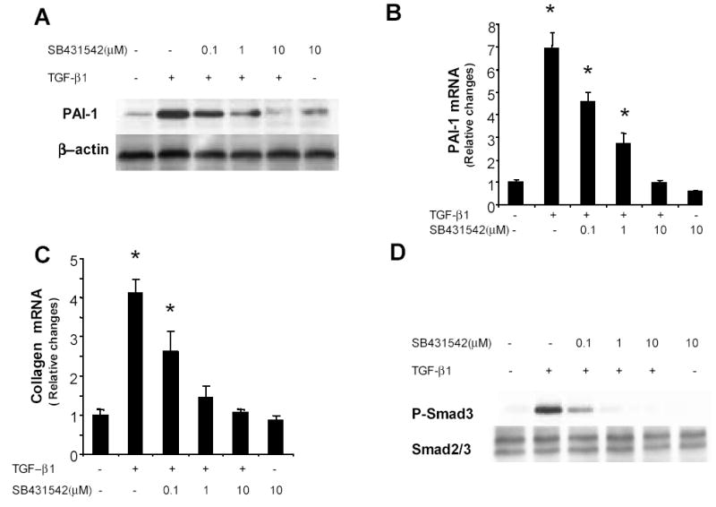 Fig.3