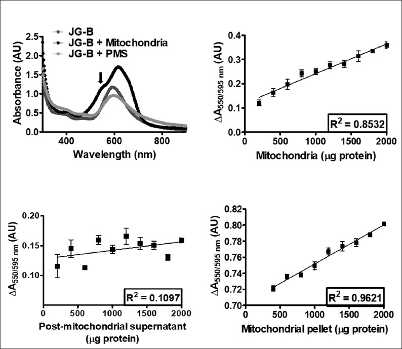 FIGURE 3